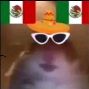 Meet your Posher, Jose